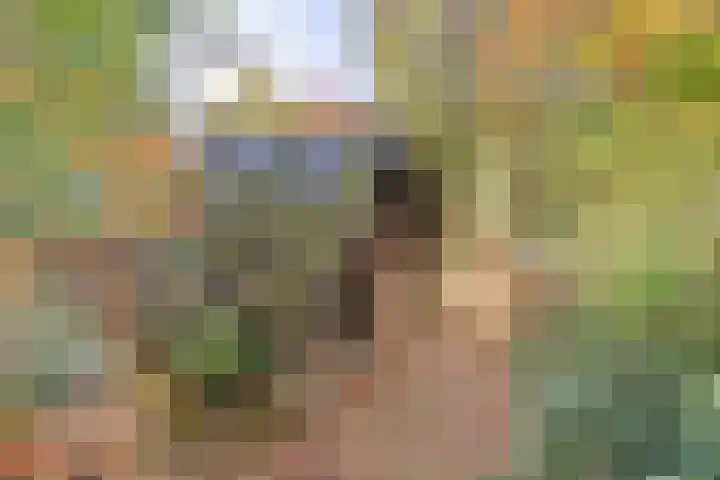 Postelseweg 185 b 2 Eersel thumbnail 5