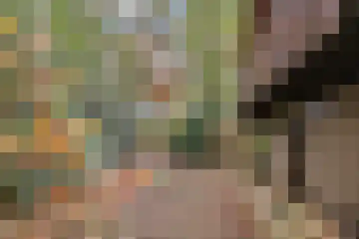 Postelseweg 185 b 2 Eersel thumbnail 7