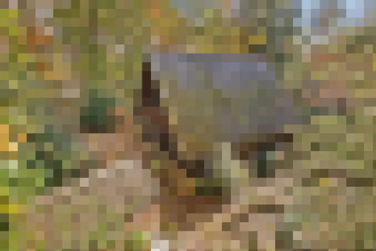 Postelseweg 185 b 2 Eersel thumbnail 8