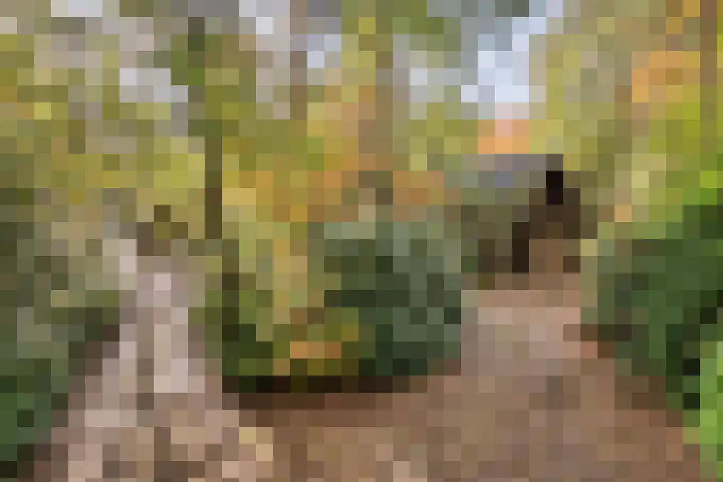 Postelseweg 185 b 2 Eersel thumbnail 9