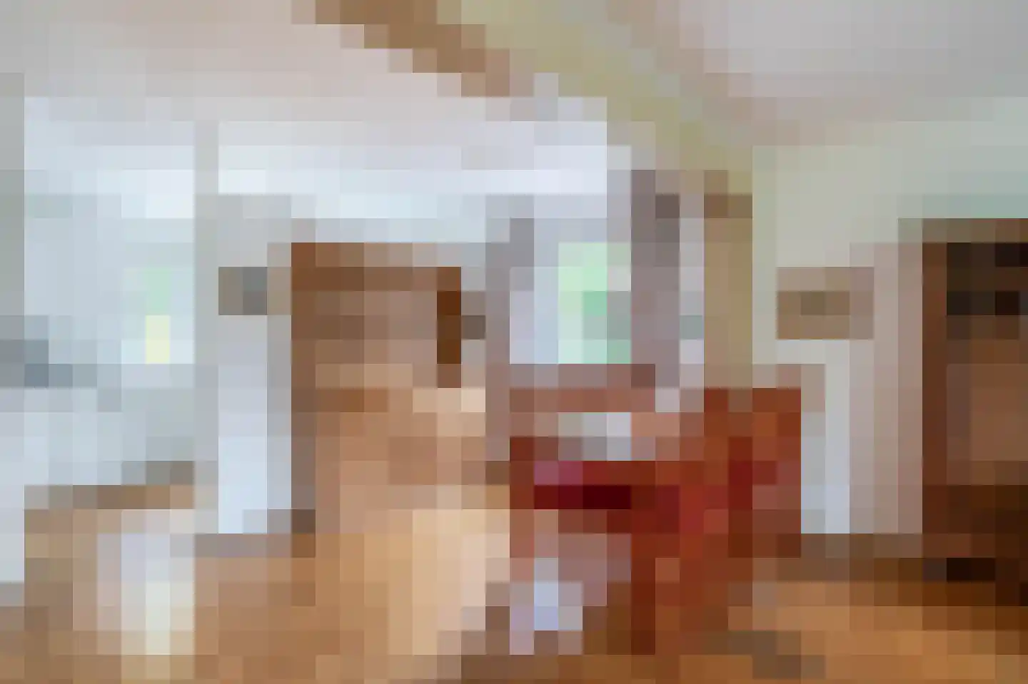 Postelseweg 36 a Eersel thumbnail 16