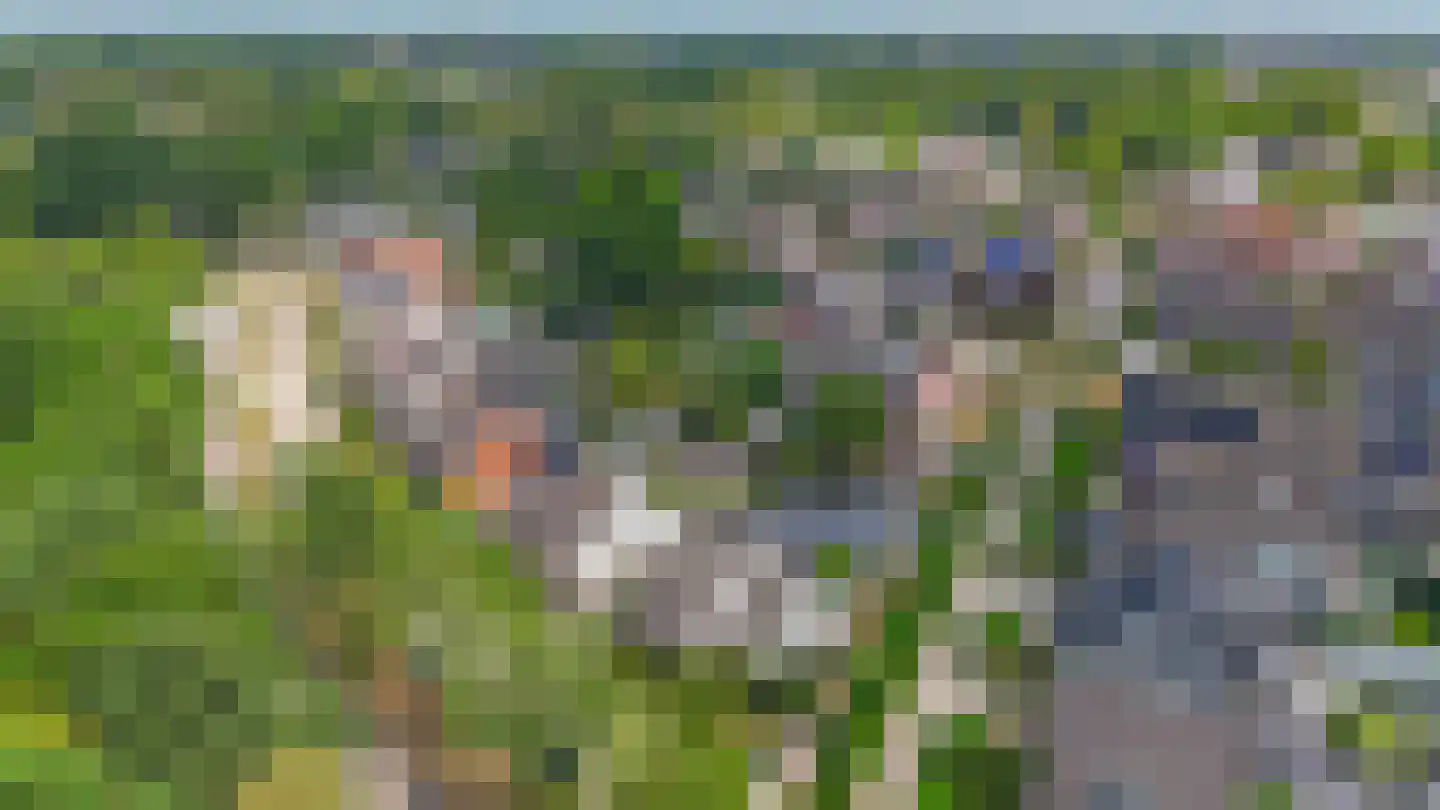 Postelseweg 36 a Eersel thumbnail 71