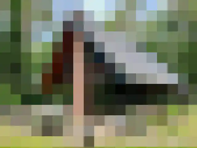 Postelseweg 88 Eersel