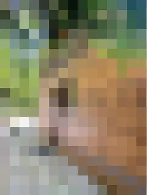 Postelseweg 88 Eersel thumbnail 4