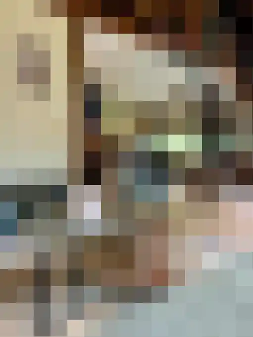 Postelseweg 88 Eersel thumbnail 5
