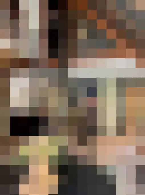 Postelseweg 88 Eersel thumbnail 6