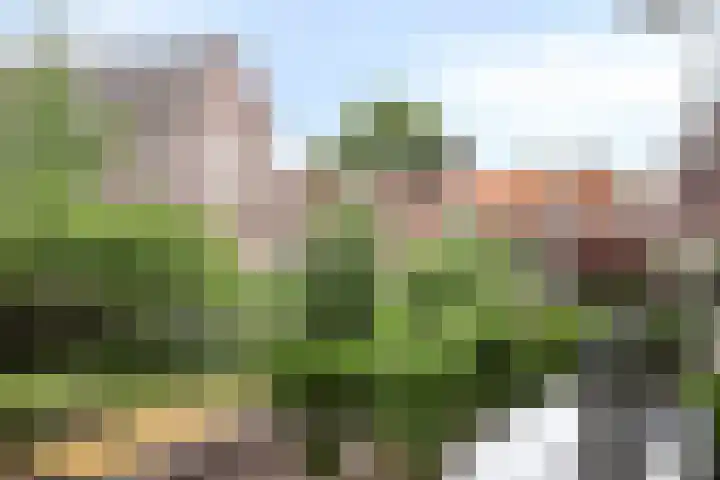 Postelstraat 16 's-Hertogenbosch thumbnail 28