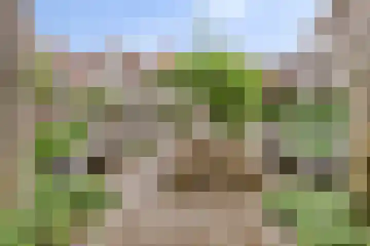 Postelstraat 16 's-Hertogenbosch thumbnail 33