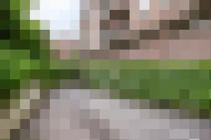 Postelstraat 16 's-Hertogenbosch thumbnail 34