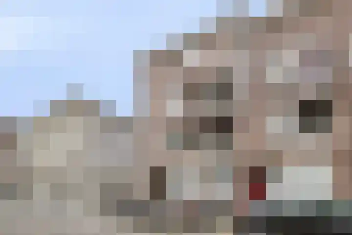 Postelstraat 16 's-Hertogenbosch thumbnail 4