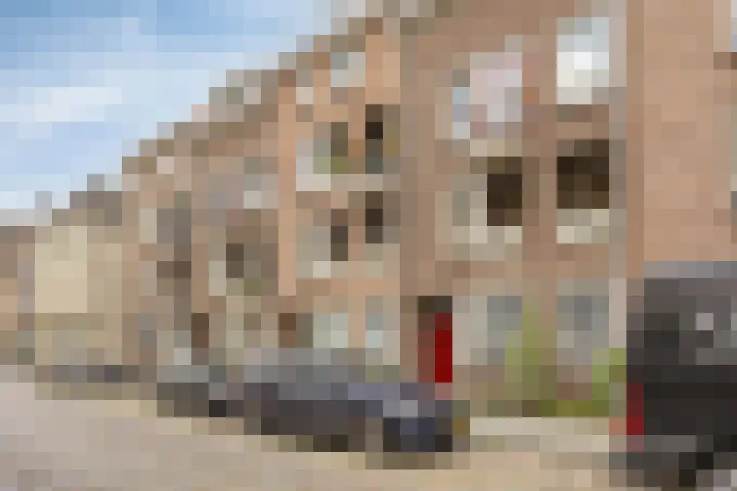 Postelstraat 18 D 's-Hertogenbosch