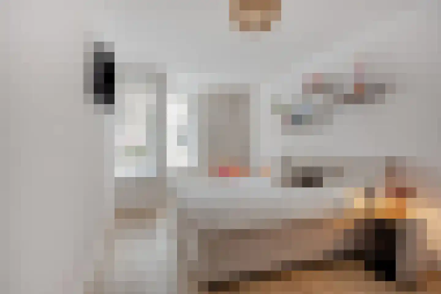 Postelstraat 18 D 's-Hertogenbosch thumbnail 26