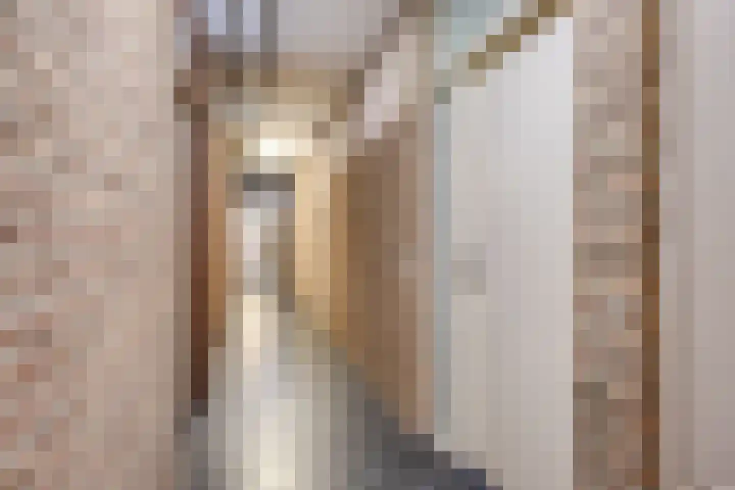 Postelstraat 18 D 's-Hertogenbosch thumbnail 42