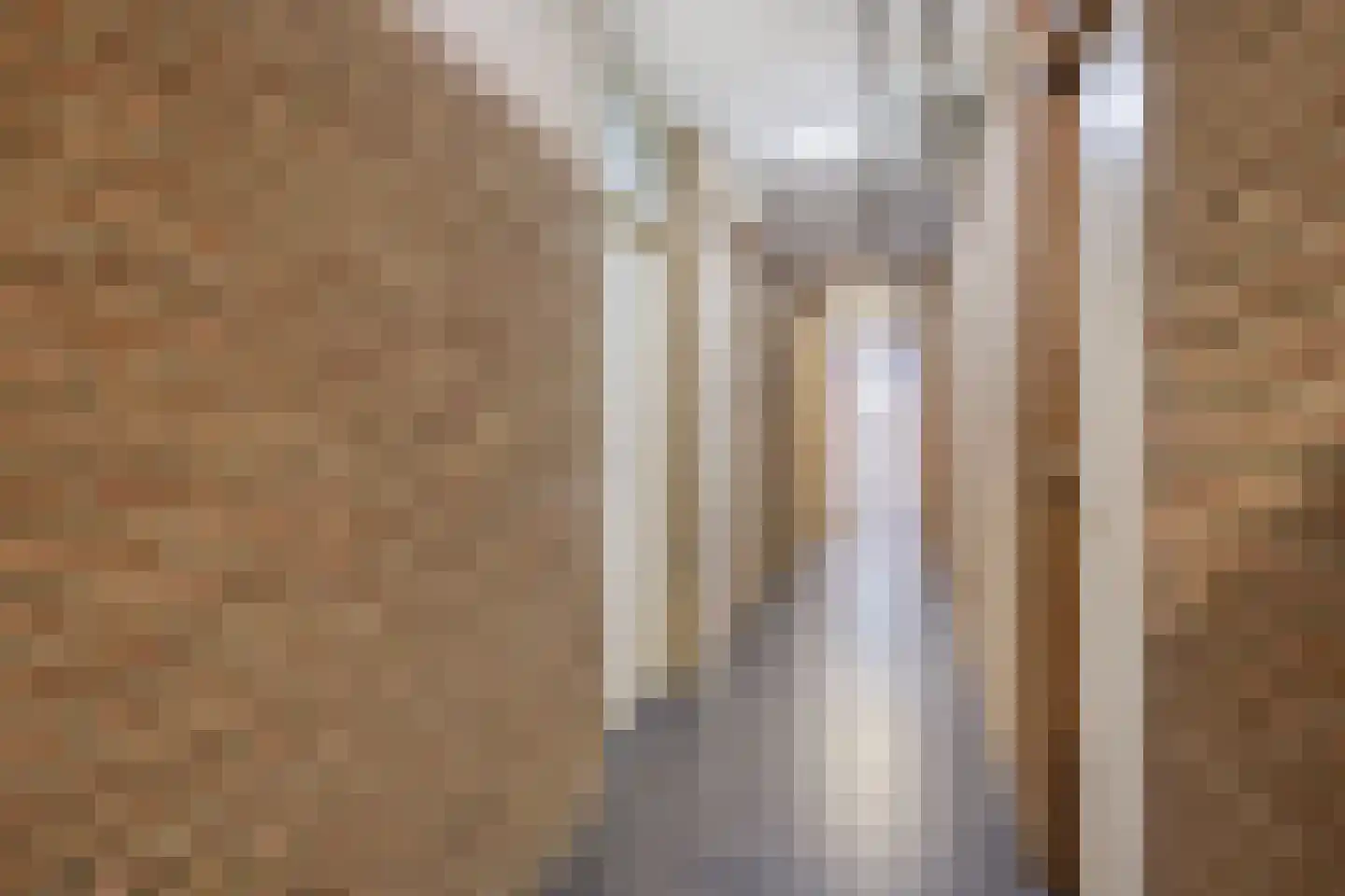 Postelstraat 18 D 's-Hertogenbosch thumbnail 43