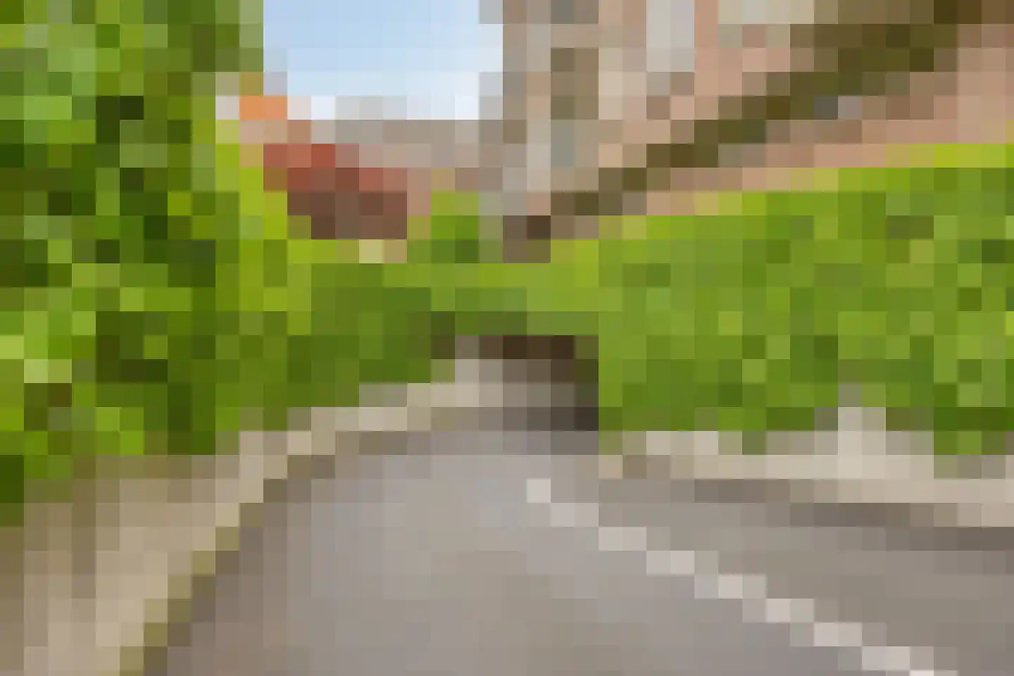 Postelstraat 18 D 's-Hertogenbosch thumbnail 46