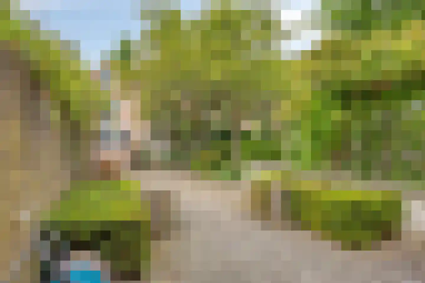 Postelstraat 18 D 's-Hertogenbosch thumbnail 50