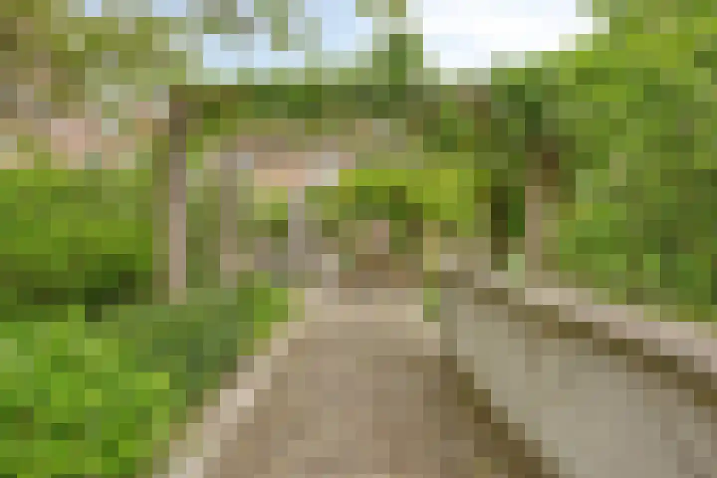 Postelstraat 18 D 's-Hertogenbosch thumbnail 51