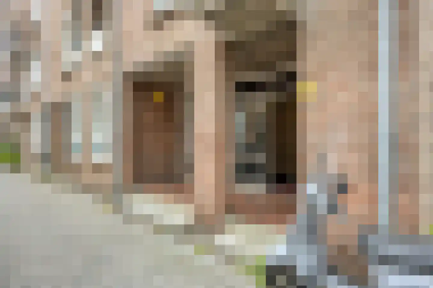 Postelstraat 18 D 's-Hertogenbosch thumbnail 56