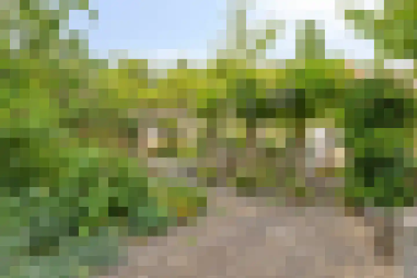 Postelstraat 18 G 's-Hertogenbosch thumbnail 30