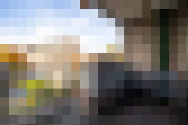 Postelstraat 18 H 's-Hertogenbosch thumbnail 13