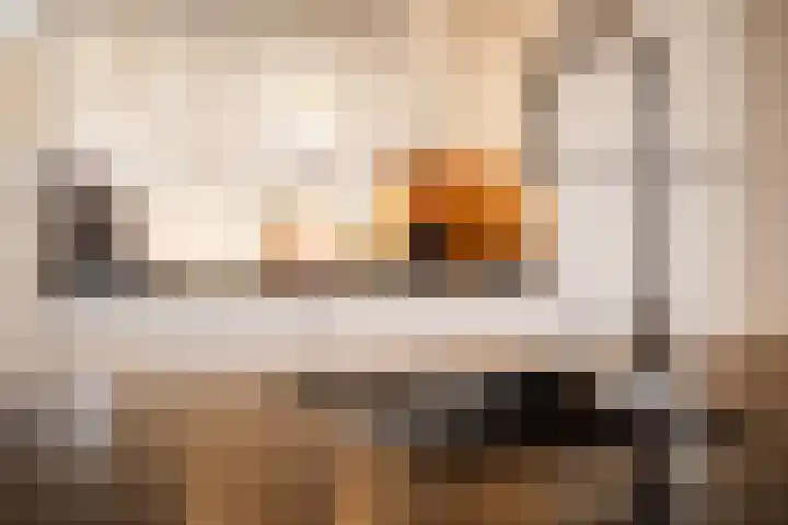Postelstraat 18 H 's-Hertogenbosch thumbnail 18