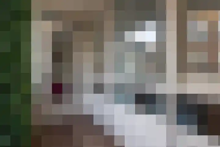 Postelstraat 18 H 's-Hertogenbosch thumbnail 24