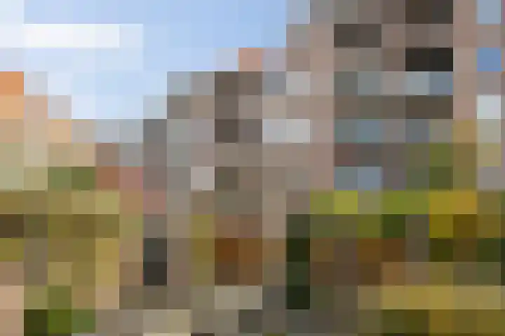 Postelstraat 18 H 's-Hertogenbosch thumbnail 30