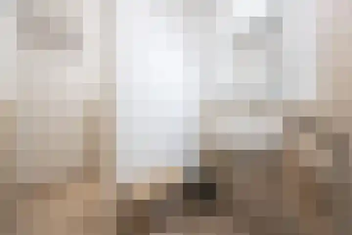 Postelstraat 18 H 's-Hertogenbosch thumbnail 31