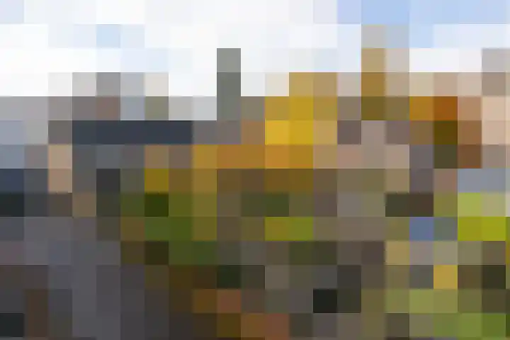 Postelstraat 18 H 's-Hertogenbosch thumbnail 32