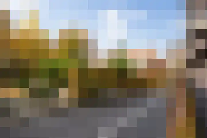 Postelstraat 18 H 's-Hertogenbosch thumbnail 33
