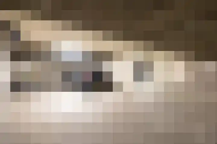 Postelstraat 18 H 's-Hertogenbosch thumbnail 34