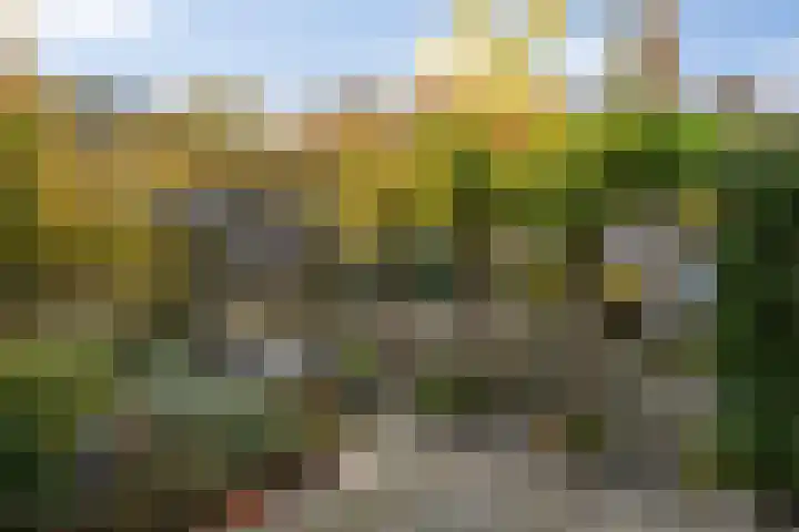 Postelstraat 18 H 's-Hertogenbosch thumbnail 37