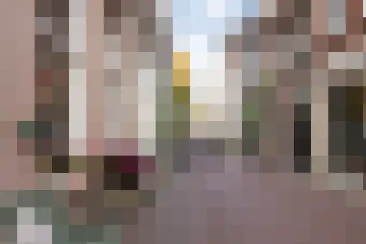 Postelstraat 18 H 's-Hertogenbosch thumbnail 40
