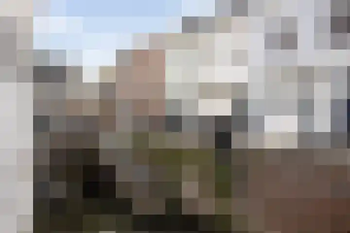 Postelstraat 18 H 's-Hertogenbosch thumbnail 41