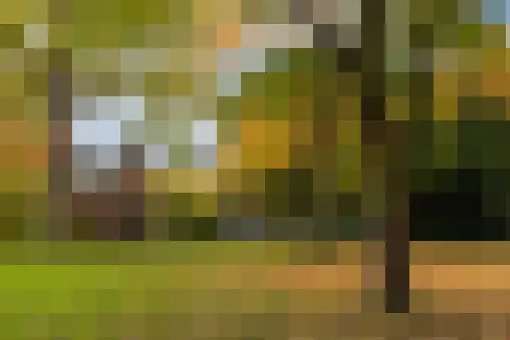 Postelstraat 18 H 's-Hertogenbosch thumbnail 44