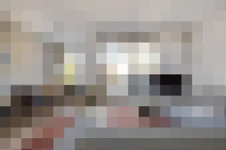 Postelstraat 18 H 's-Hertogenbosch thumbnail 5