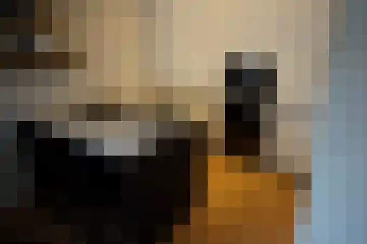 Postelstraat 18 's-Hertogenbosch thumbnail 6