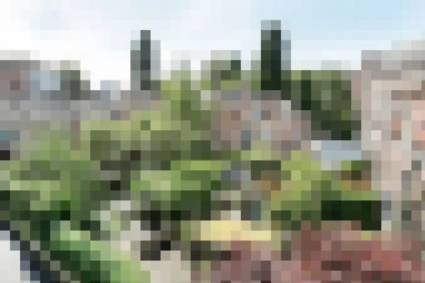 Postelstraat 20 D 's-Hertogenbosch thumbnail 27