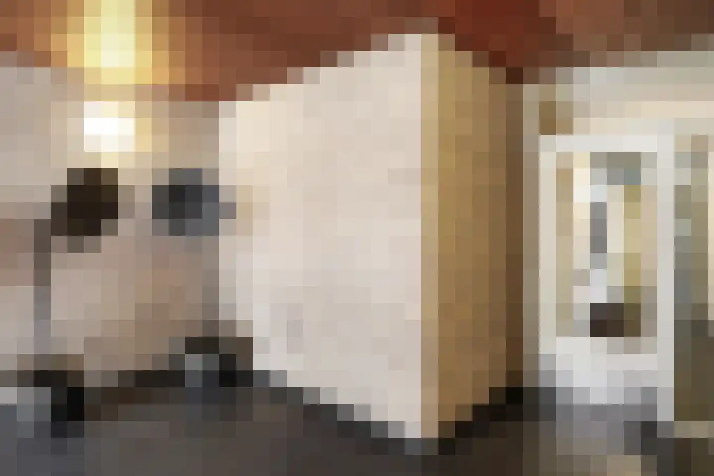 Postelstraat 20 D 's-Hertogenbosch thumbnail 31
