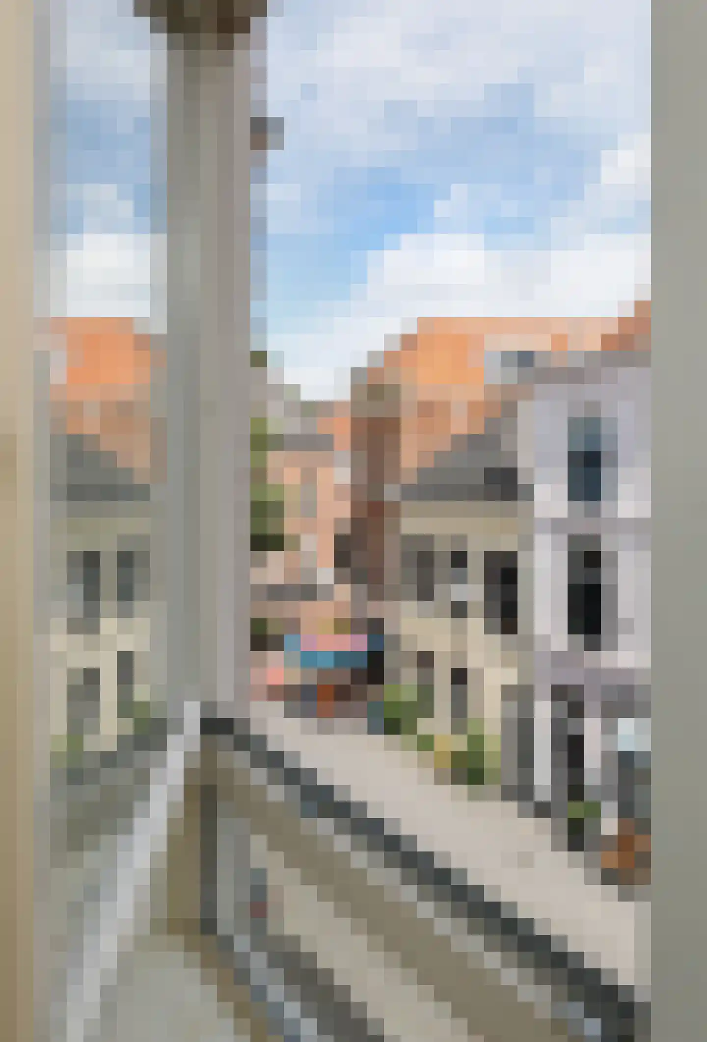 Postelstraat 20 D 's-Hertogenbosch thumbnail 9