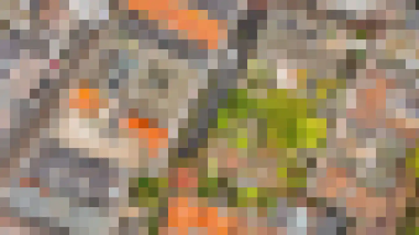 Postelstraat 22 C 's-Hertogenbosch thumbnail 39