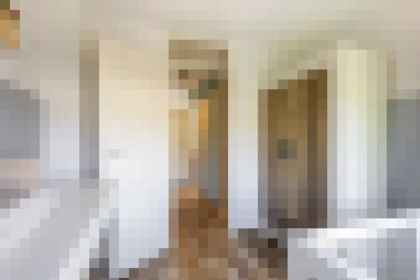 Postelstraat 22 Werkendam thumbnail 28