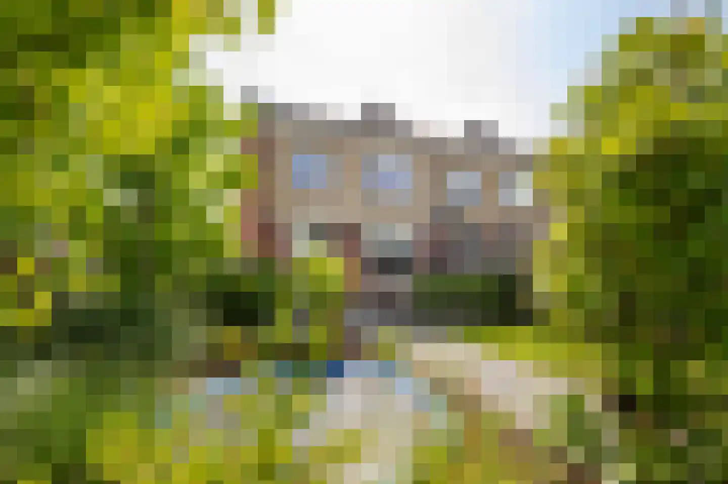 Postelstraat 22 Werkendam thumbnail 32