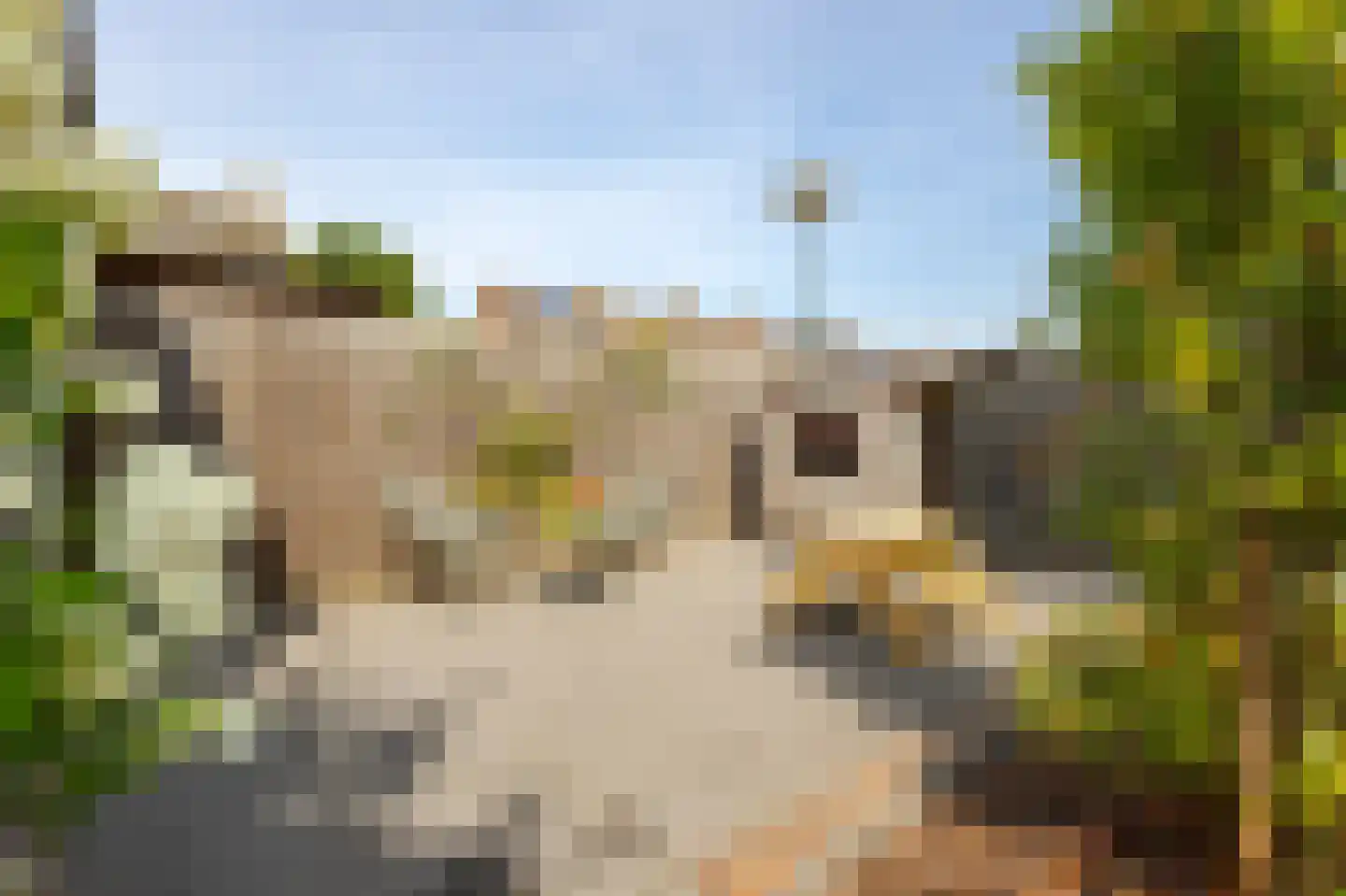 Postelstraat 22 Werkendam thumbnail 38