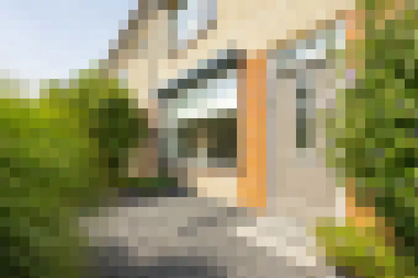 Postelstraat 22 Werkendam thumbnail 7