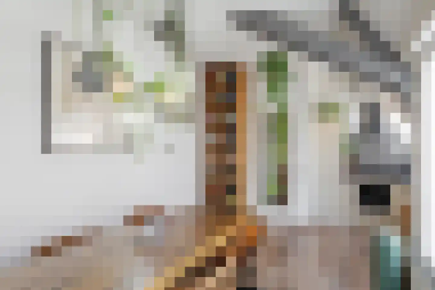 Postelstraat 23 E 's-Hertogenbosch thumbnail 11