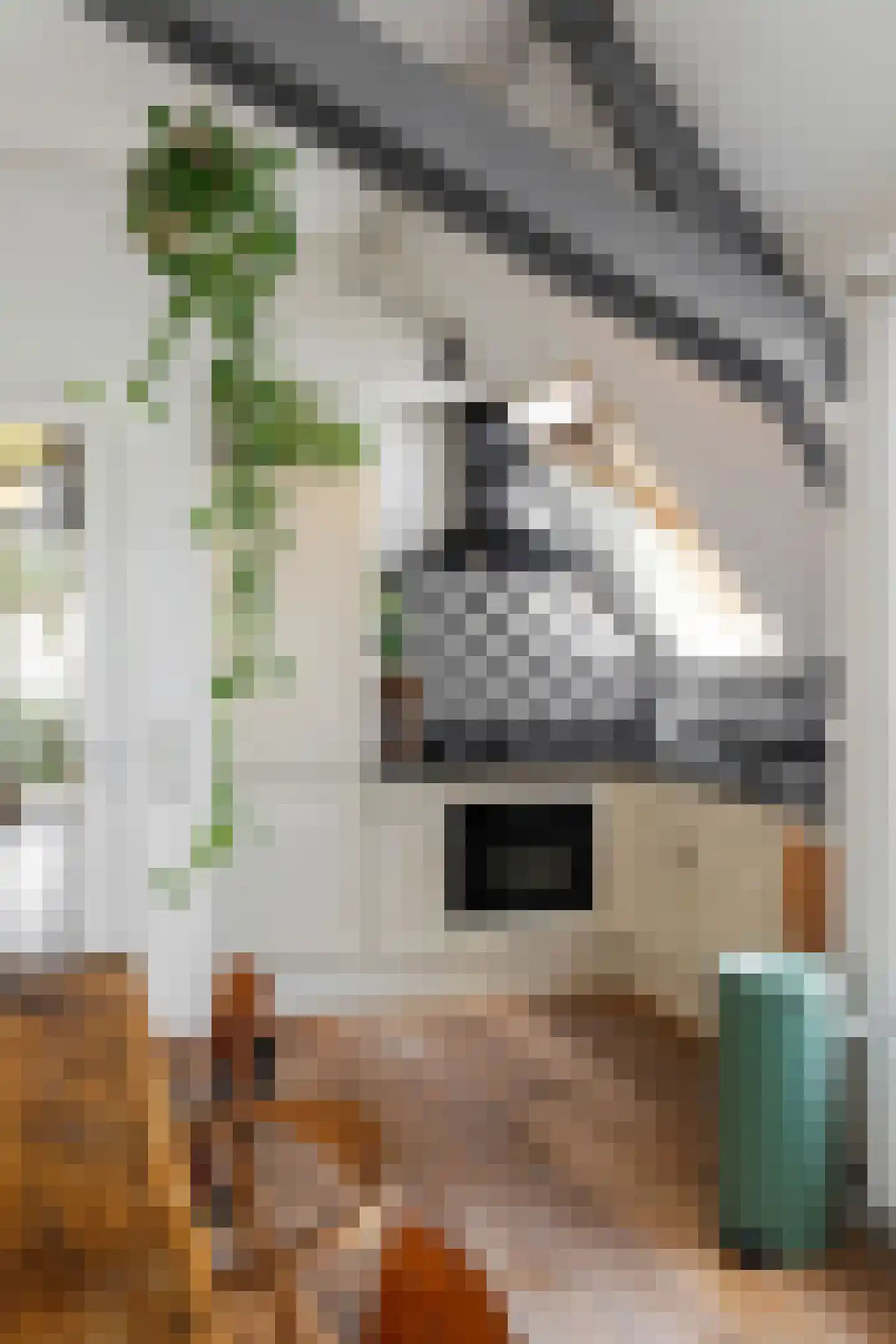 Postelstraat 23 E 's-Hertogenbosch thumbnail 12