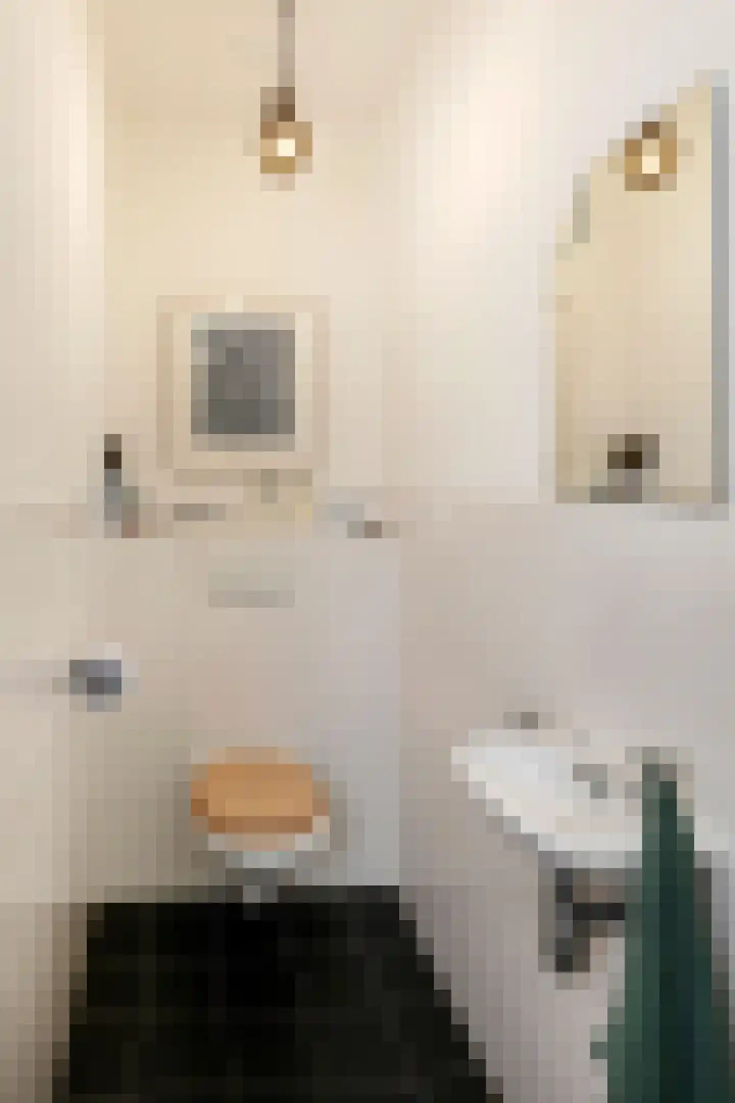 Postelstraat 23 E 's-Hertogenbosch thumbnail 19