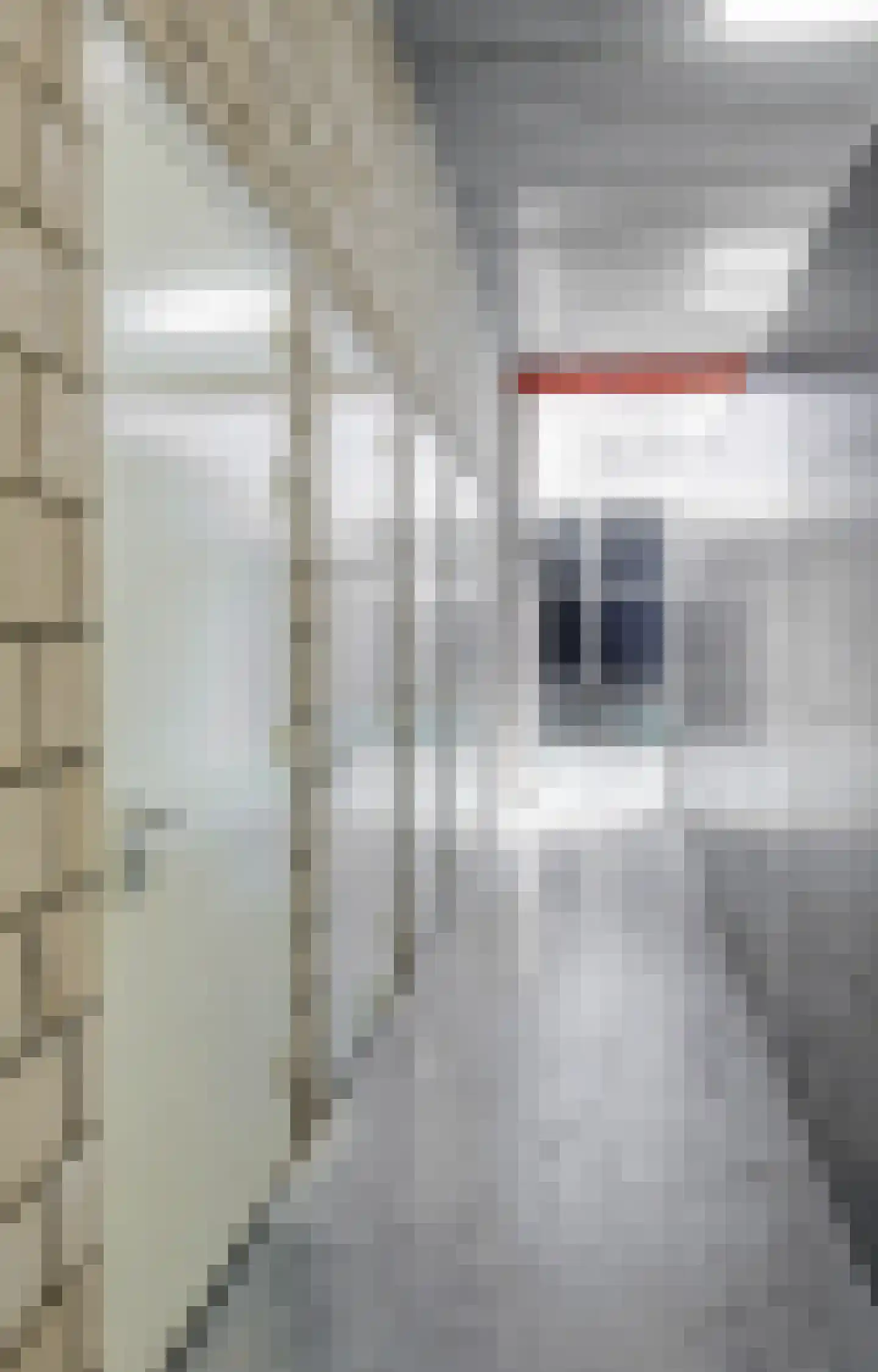 Postelstraat 23 E 's-Hertogenbosch thumbnail 24