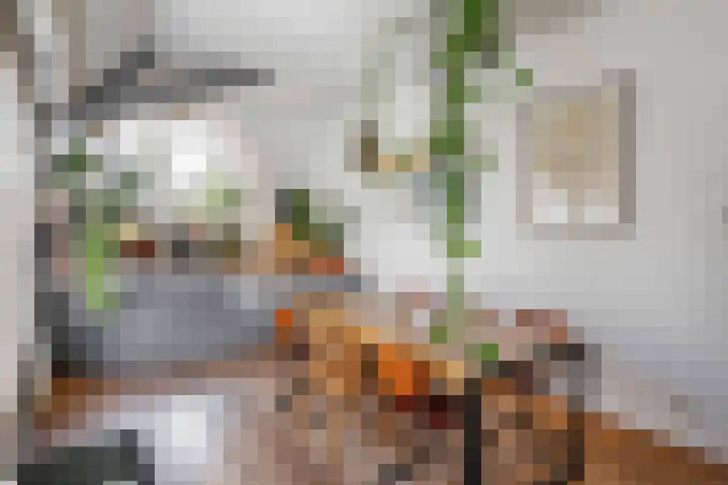 Postelstraat 23 E 's-Hertogenbosch thumbnail 4